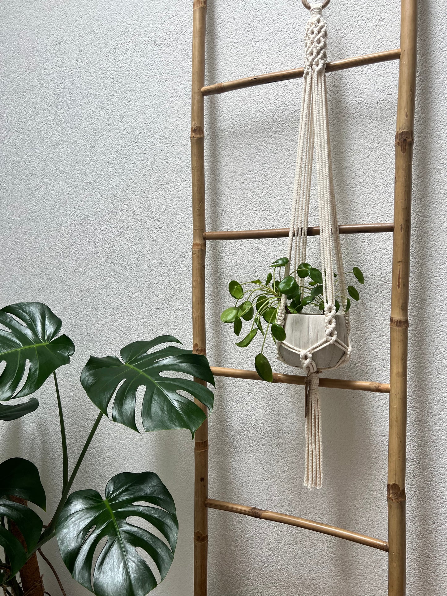 Suspension Saora