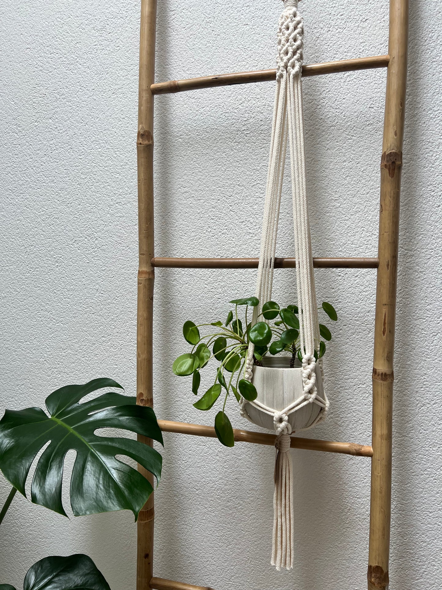 Suspension Saora