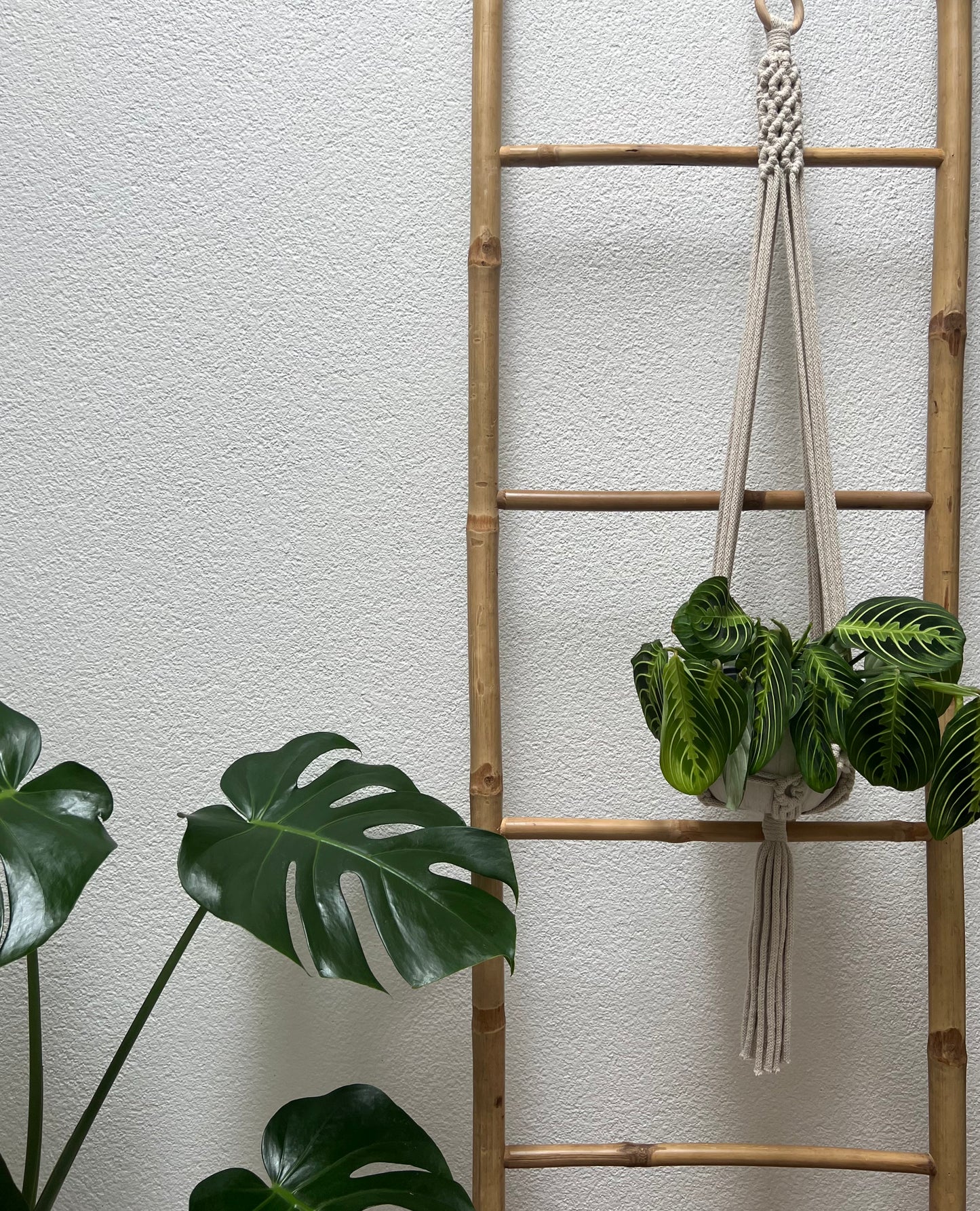Suspension Saora