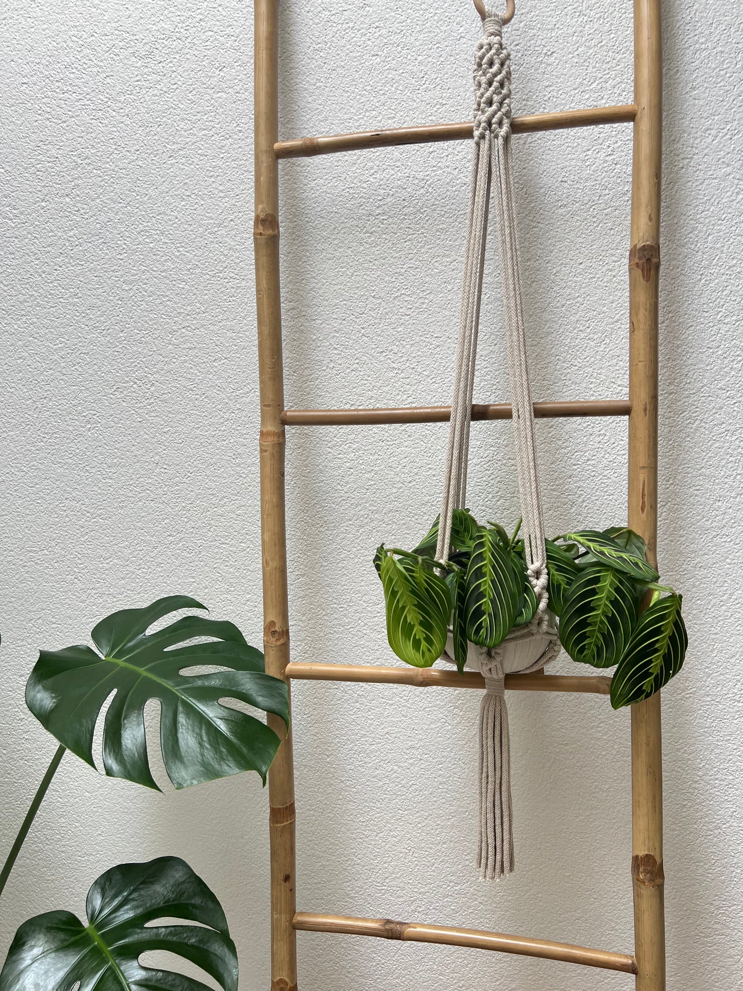 Suspension Saora