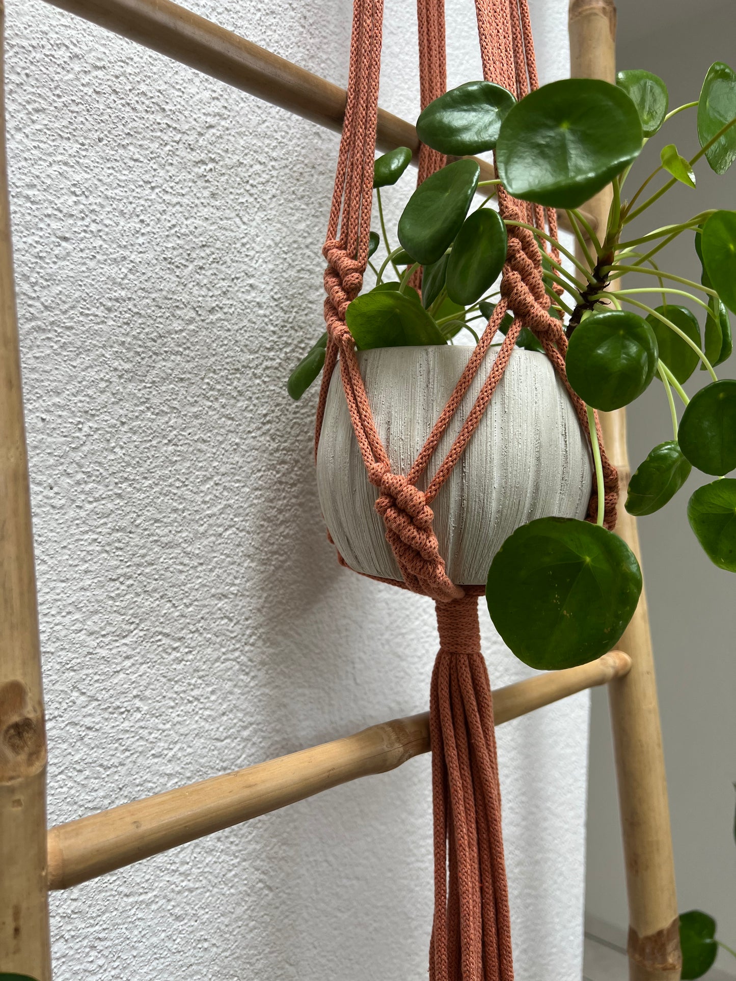 Suspension Koru