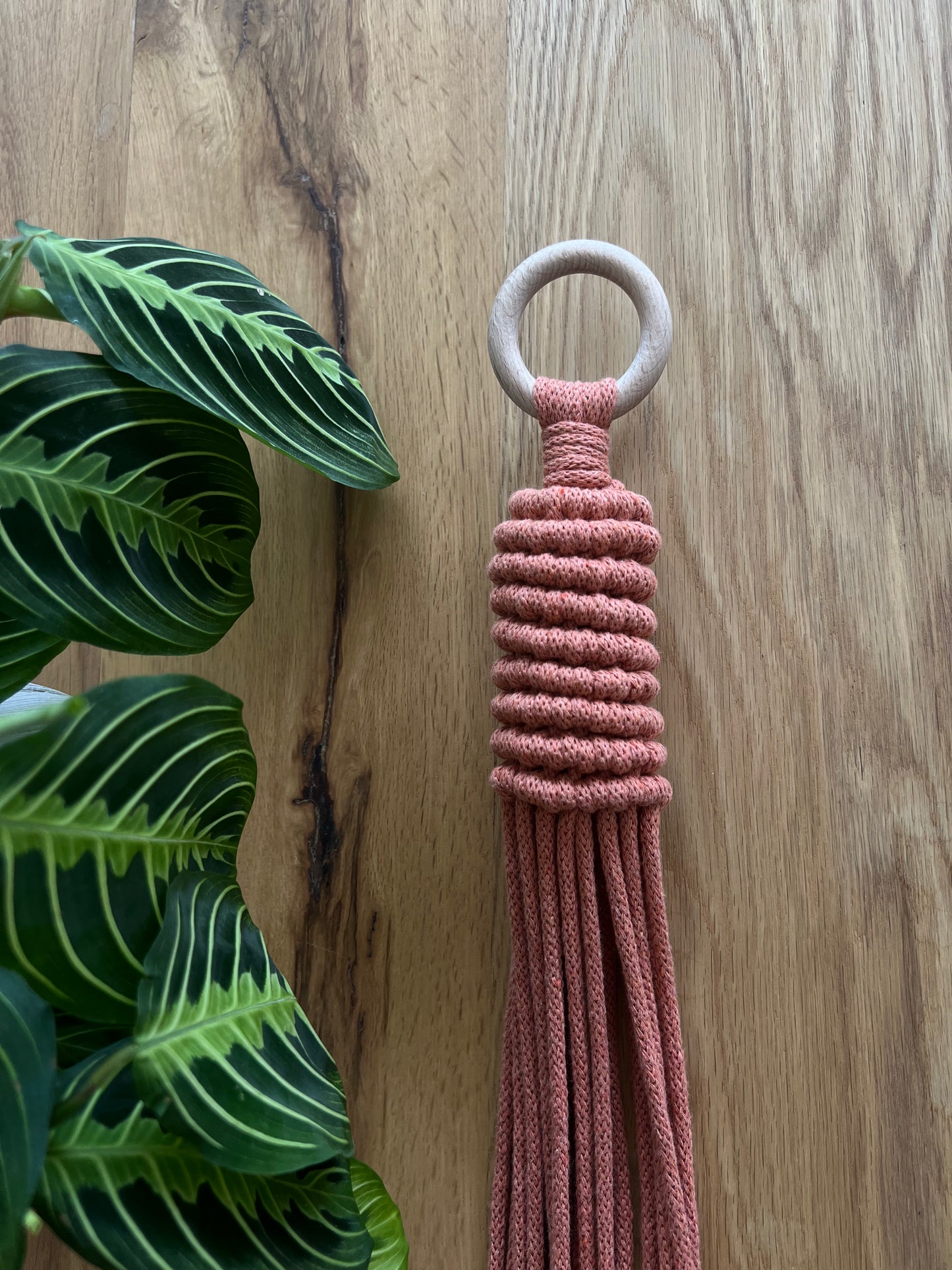 Suspension Koru
