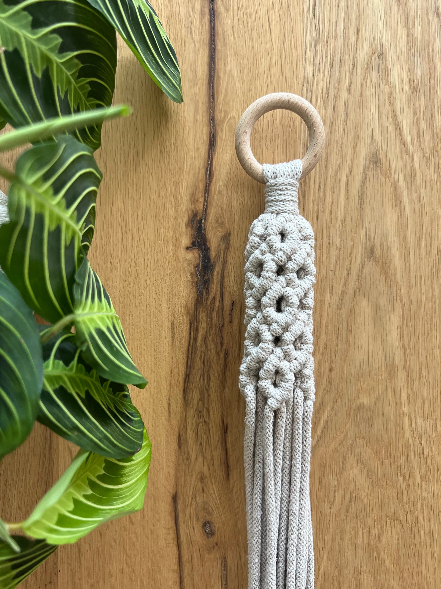 Suspension Saora