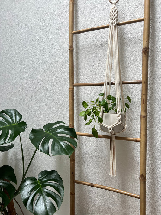 Suspension Saora