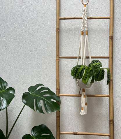 Suspension Nila