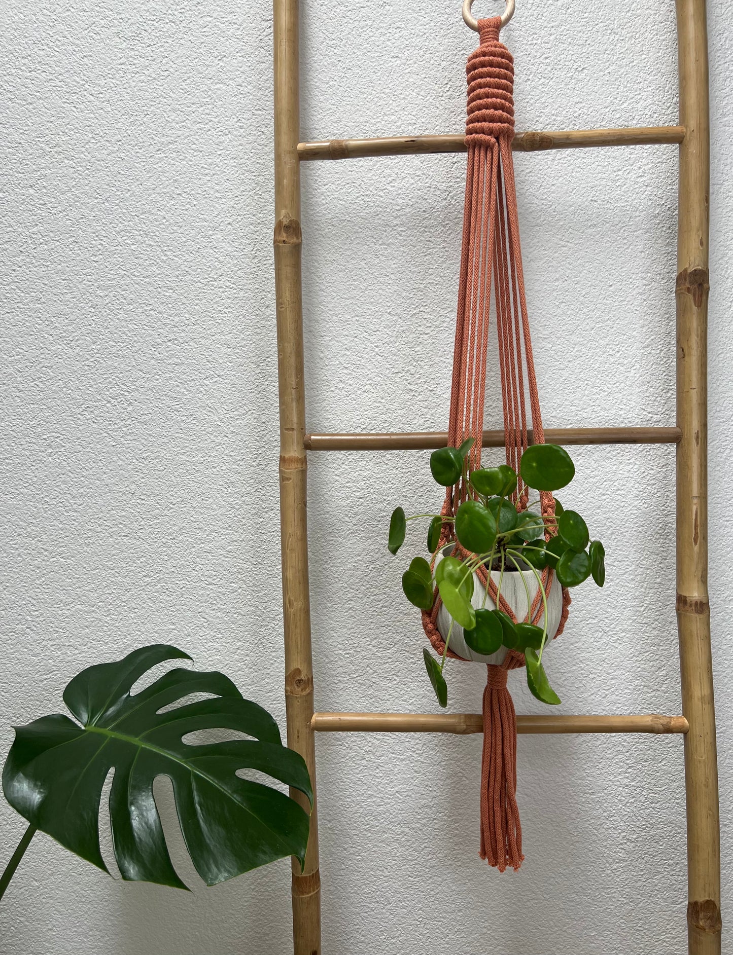 Suspension Koru