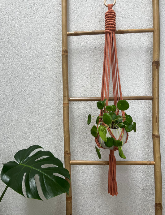 Suspension Koru