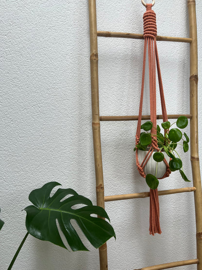 Suspension Koru